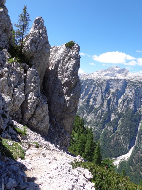 Vrhovi nad Pokljuko, 07.07.2020 - foto