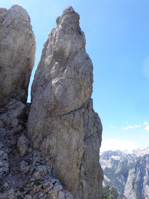Vrhovi nad Pokljuko, 07.07.2020 - foto