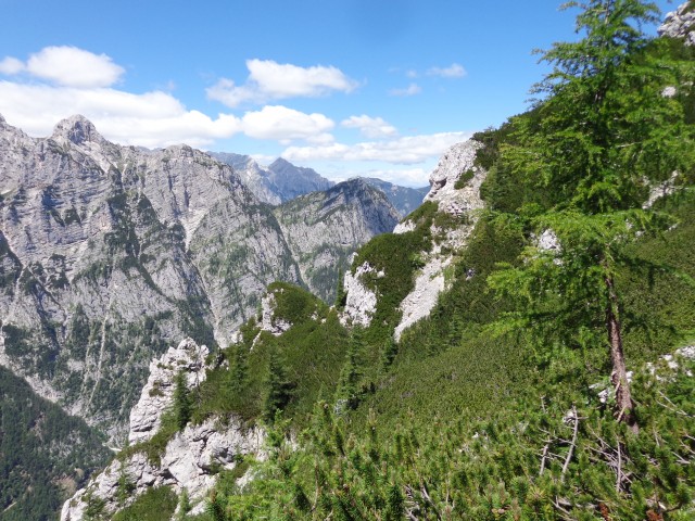 Vrhovi nad Pokljuko, 07.07.2020 - foto