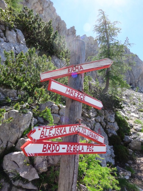 Vrhovi nad Pokljuko, 07.07.2020 - foto