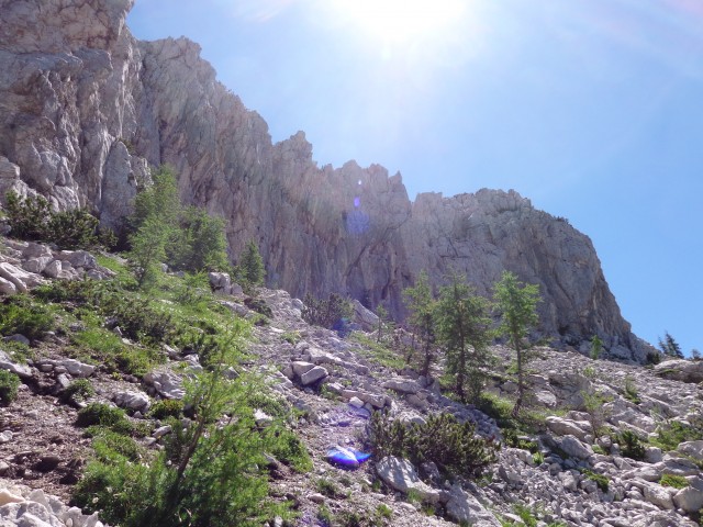 Vrhovi nad Pokljuko, 07.07.2020 - foto