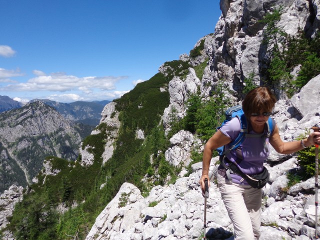 Vrhovi nad Pokljuko, 07.07.2020 - foto