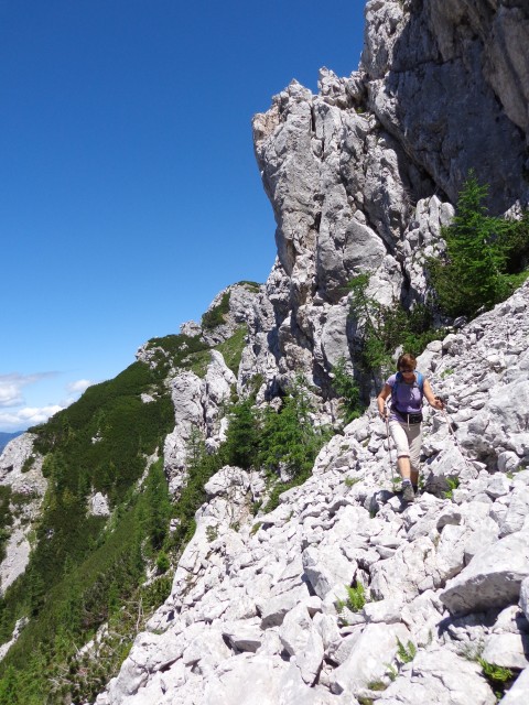 Vrhovi nad Pokljuko, 07.07.2020 - foto