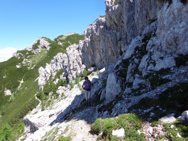 Vrhovi nad Pokljuko, 07.07.2020 - foto