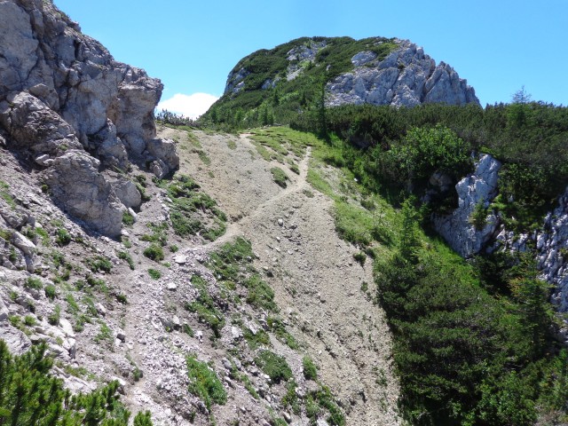 Vrhovi nad Pokljuko, 07.07.2020 - foto