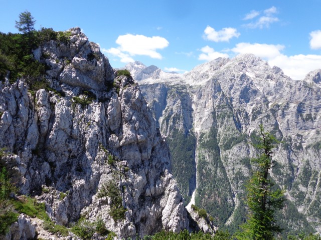Vrhovi nad Pokljuko, 07.07.2020 - foto