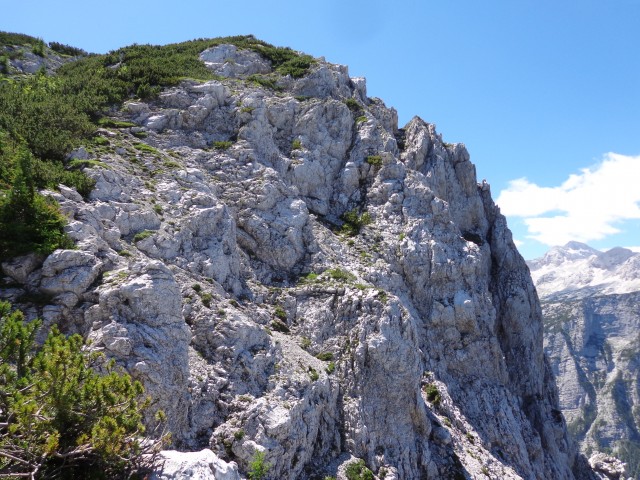 Vrhovi nad Pokljuko, 07.07.2020 - foto