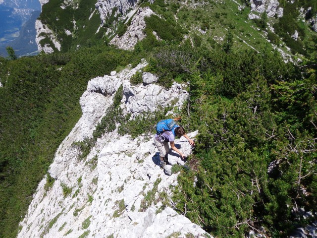 Vrhovi nad Pokljuko, 07.07.2020 - foto