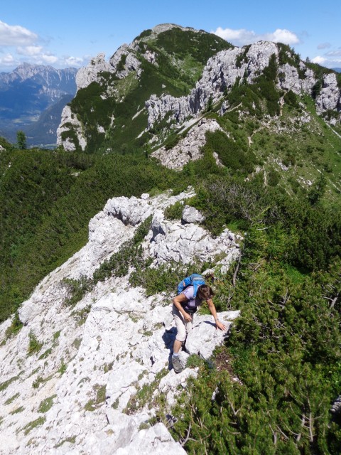 Vrhovi nad Pokljuko, 07.07.2020 - foto