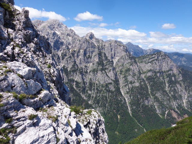 Vrhovi nad Pokljuko, 07.07.2020 - foto