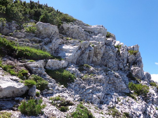 Vrhovi nad Pokljuko, 07.07.2020 - foto