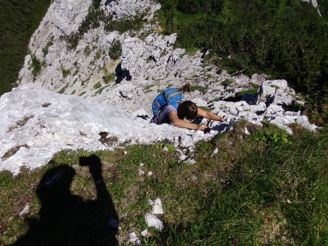 Vrhovi nad Pokljuko, 07.07.2020 - foto