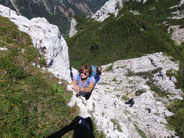 Vrhovi nad Pokljuko, 07.07.2020 - foto