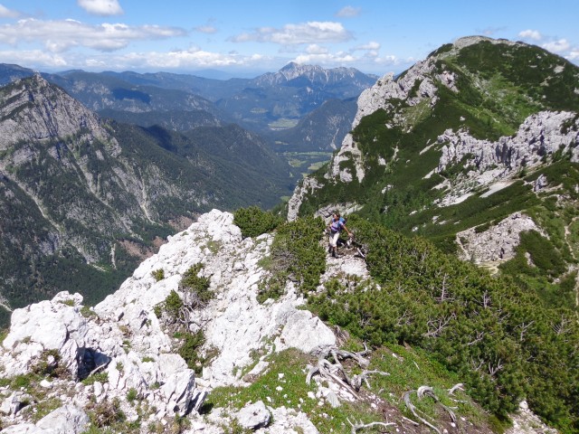 Vrhovi nad Pokljuko, 07.07.2020 - foto