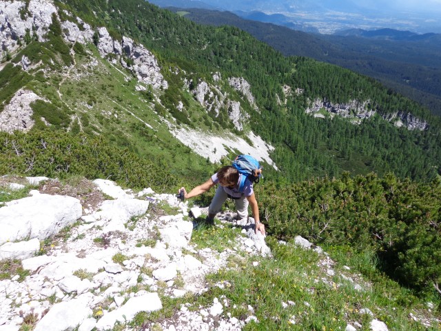 Vrhovi nad Pokljuko, 07.07.2020 - foto