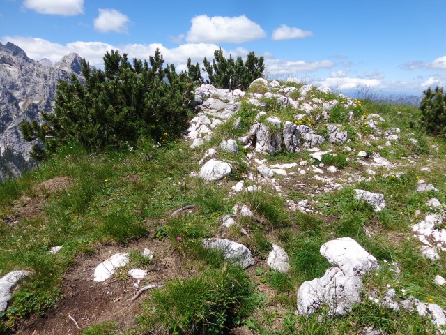 Vrhovi nad Pokljuko, 07.07.2020 - foto