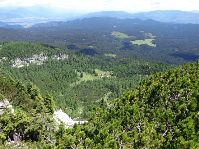 Vrhovi nad Pokljuko, 07.07.2020 - foto