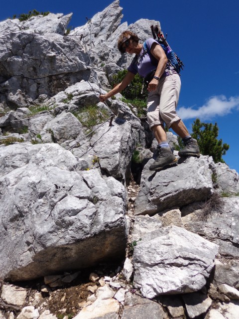 Vrhovi nad Pokljuko, 07.07.2020 - foto
