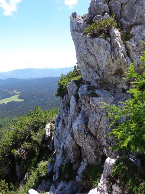 Vrhovi nad Pokljuko, 07.07.2020 - foto