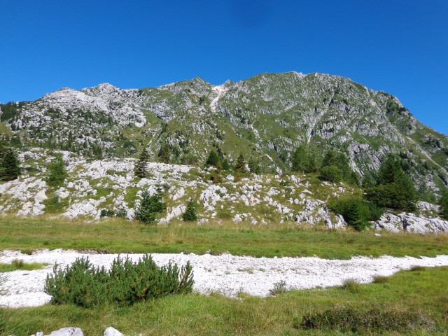 Krnsko j. - Planina Na polju, 21.08.2020 - foto