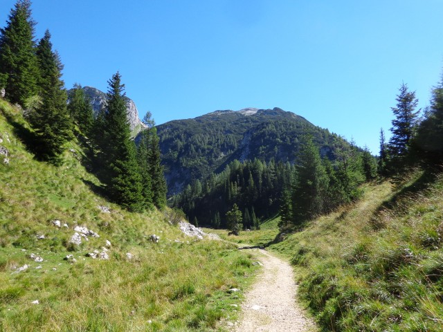 Krnsko j. - Planina Na polju, 21.08.2020 - foto