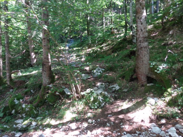 Krnsko j. - Planina Na polju, 21.08.2020 - foto