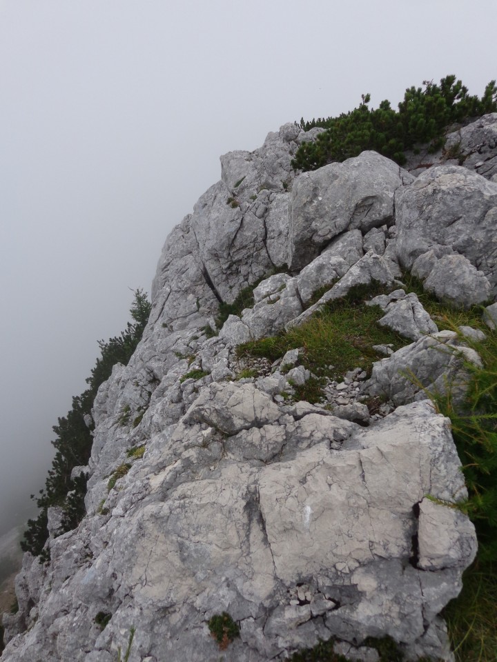 Pokljuka - Lipanski vrh, 28.08.2020 - foto povečava