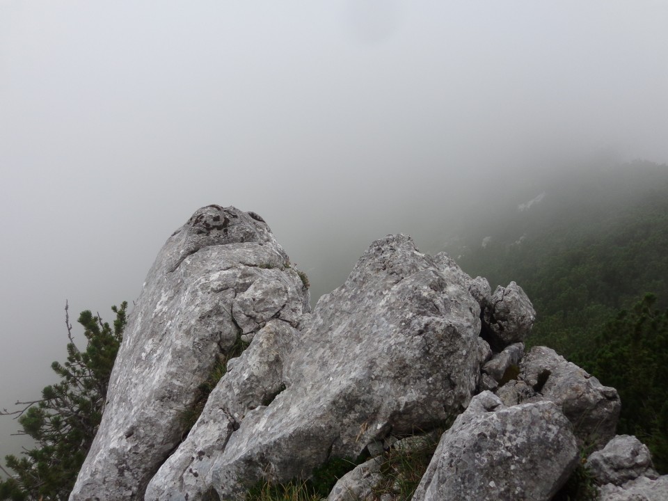 Pokljuka - Lipanski vrh, 28.08.2020 - foto povečava