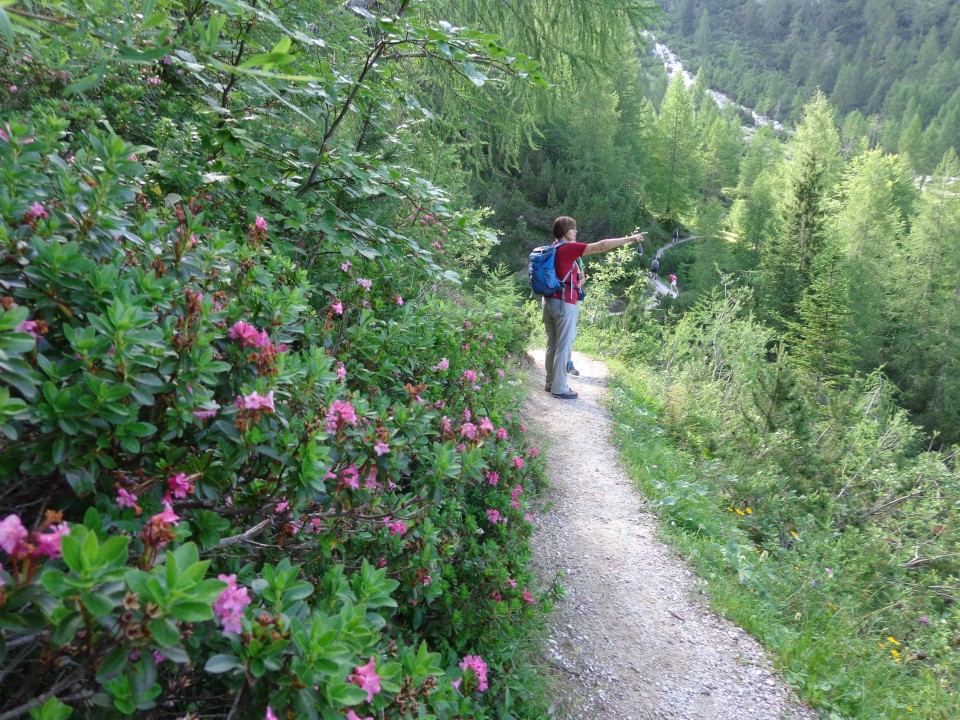 Vršič 21.7.21 - foto povečava