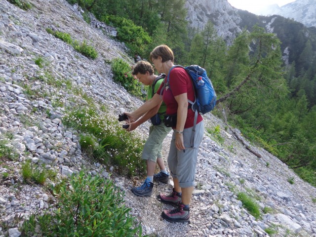 Vršič 21.7.21 - foto