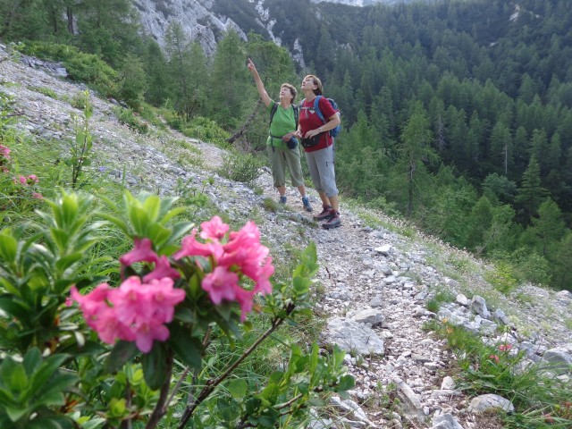 Vršič 21.7.21 - foto
