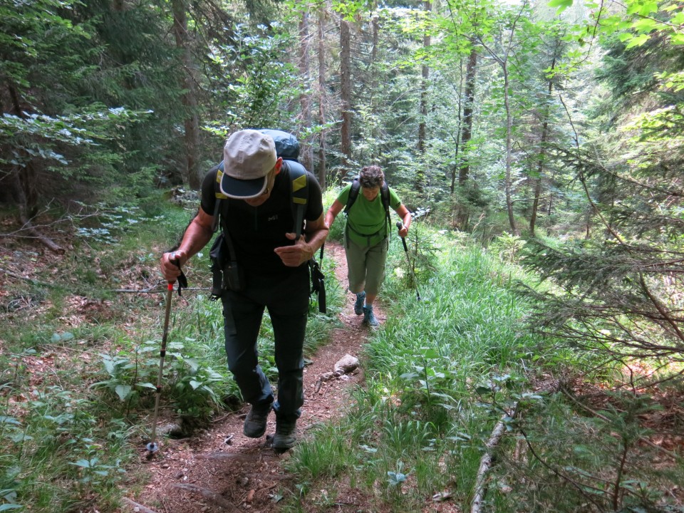 Visoki Mavrinc-Špica v sedelcih 23.7.21 - foto povečava