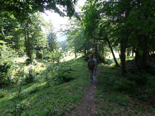 Soriška planina-Možic 22.8.21 - foto