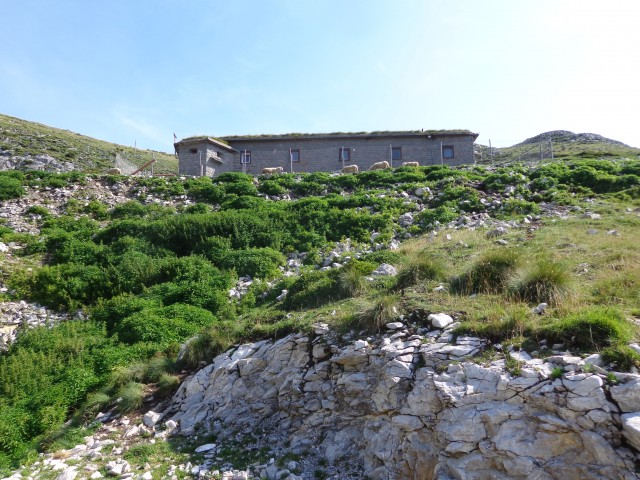 Soriška planina-Možic 22.8.21 - foto