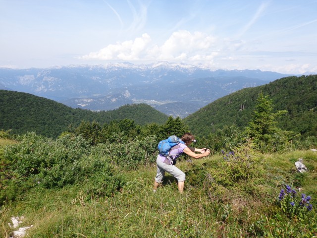 Soriška planina-Možic 22.8.21 - foto