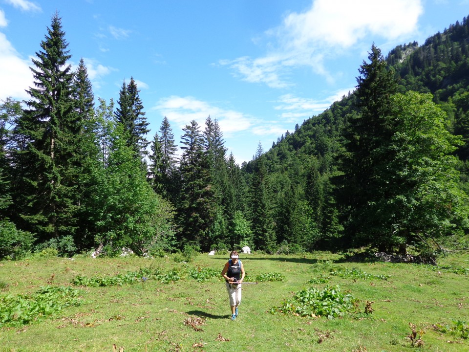 Orožnova koča-Lisec 26.8.21 - foto povečava