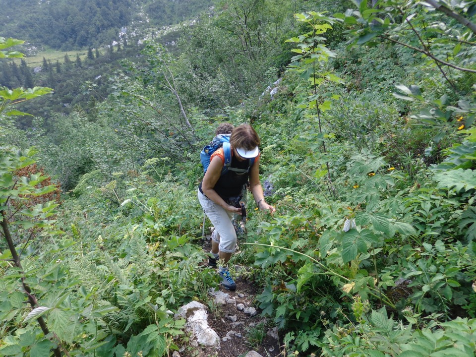 Orožnova koča-Lisec 26.8.21 - foto povečava