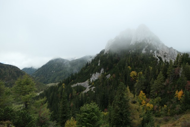 Zelenica-Zgornji Plot 30.9.21 - foto