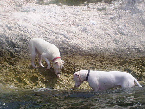 POREČ - foto povečava