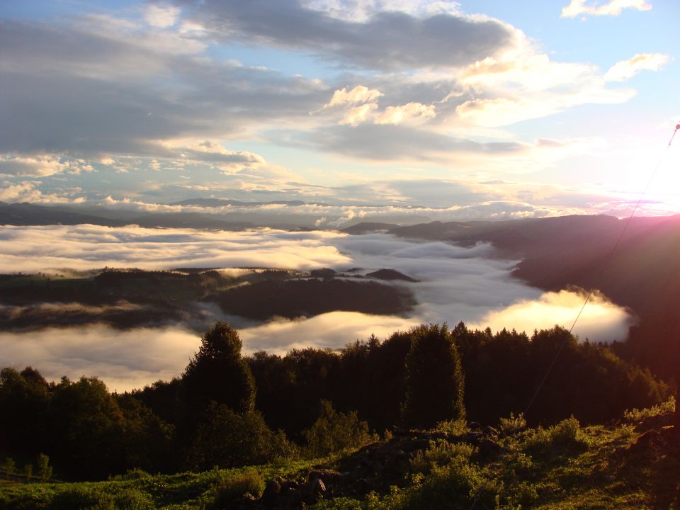 Kr neki - foto povečava