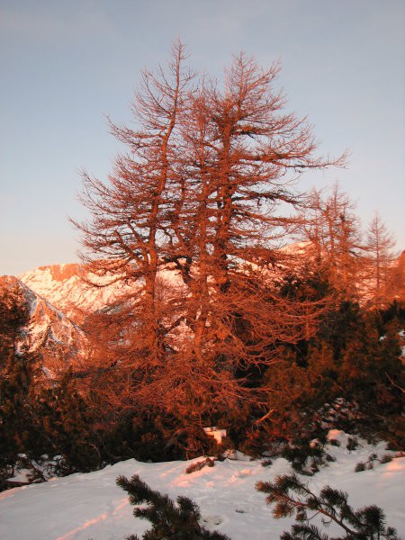 Viševnik, Ablanca, Tosc, V. Draški vrh, 30.12 - foto