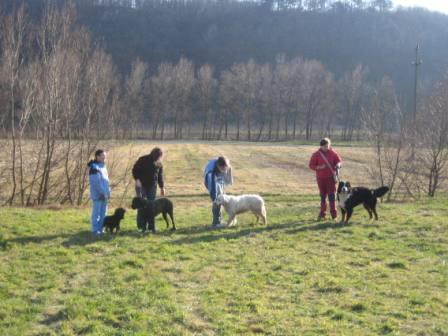 Srečanje 10.2.2008 - foto