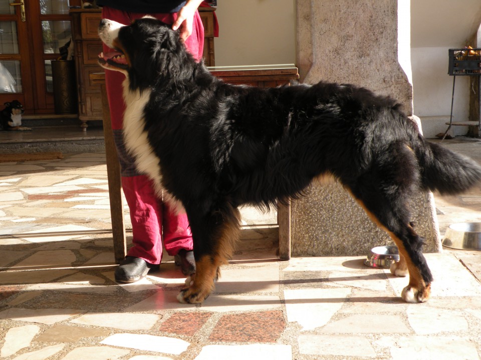 2 leti! - foto povečava