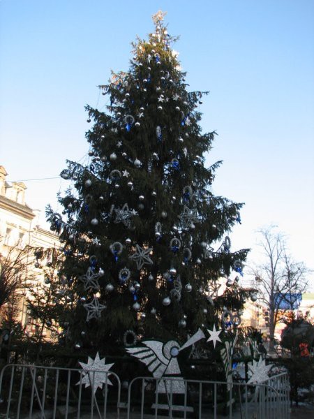 Novoletna jelka podnevi (na glavnem trgu).