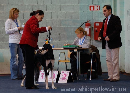 CACIB Vrtojba - foto povečava