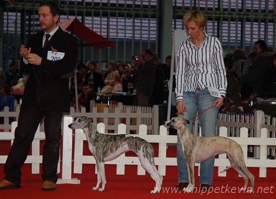 CACIB Ljubljana 2008 - foto povečava