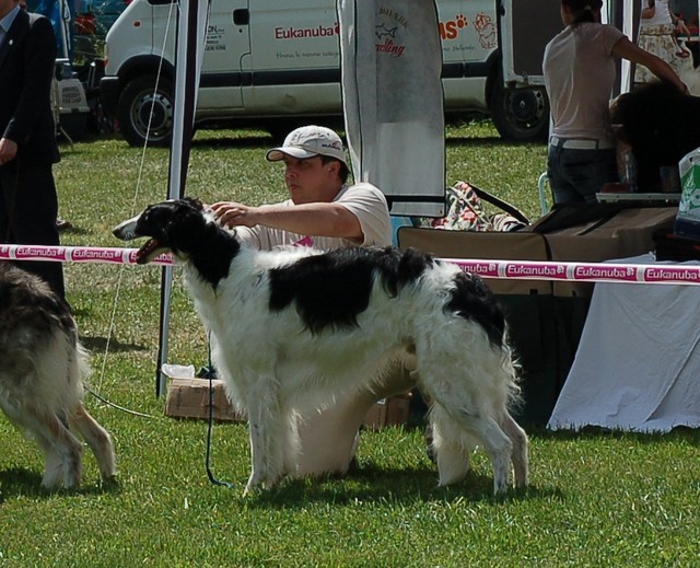 CAC Mežaklja 08 - foto povečava