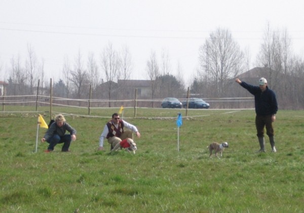 Bistra - foto