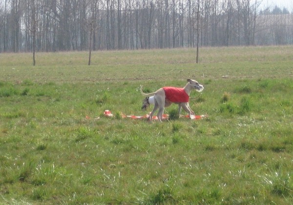 Bistra - foto povečava