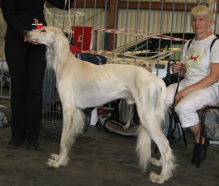 Cacib Portorož 2006 - foto povečava
